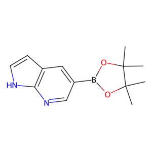 aladdin 阿拉丁 A103413 7-氮杂吲哚-5-硼酸频哪醇酯 754214-56-7 97%