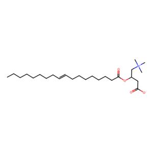 油酰基肉碱,oleoyl L-carnitine