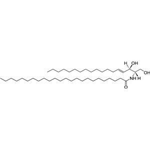 C24 神经酰胺 (d18:1/24:0),C24 Ceramide (d18:1/24:0)