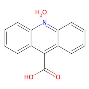 aladdin 阿拉丁 A151008 9-吖啶甲酸水合物 332927-03-4 >97.0%(HPLC)