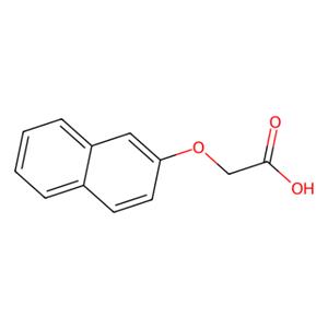 aladdin 阿拉丁 N114753 2-萘氧乙酸 120-23-0 98%
