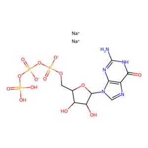 aladdin 阿拉丁 G122989 鸟苷-5'-三磷酸二钠盐 56001-37-7 90%