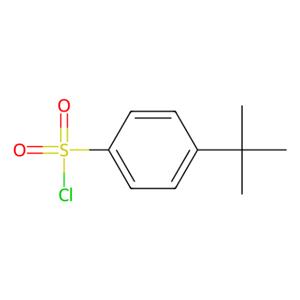 aladdin 阿拉丁 T123537 4-叔丁基苯磺酰氯 15084-51-2 98%
