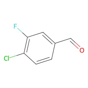 aladdin 阿拉丁 C120611 4-氯-3-氟苯甲醛 5527-95-7 98%