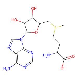aladdin 阿拉丁 S107408 S-腺苷甲硫氨酸对甲苯磺酸盐 17176-17-9 80%
