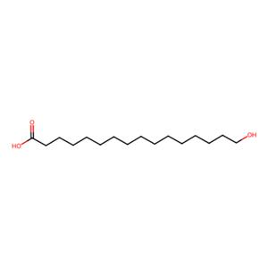 16-羟基十六酸,16-Hydroxyhexadecanoic Acid