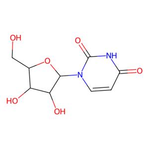 aladdin 阿拉丁 U108810 尿嘧啶核苷 58-96-8 99%