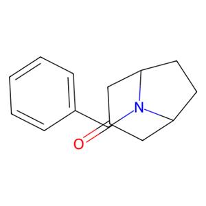 aladdin 阿拉丁 B115344 N-苄基托品酮 28957-72-4 95%