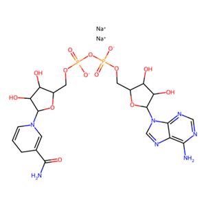 aladdin 阿拉丁 N106933 还原型辅酶I 二钠(β-NADH) 606-68-8 98%