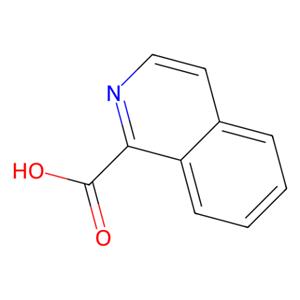 aladdin 阿拉丁 I111156 异喹啉羧酸 486-73-7 98%