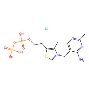 aladdin 阿拉丁 T111202 焦磷酸硫胺素 154-87-0 98%