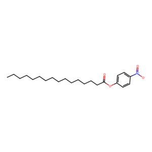 aladdin 阿拉丁 N100621 棕榈酸对硝基苯酯 1492-30-4 98%
