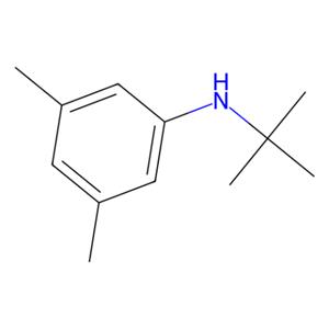 aladdin 阿拉丁 N159173 N-叔丁基-3,5-二甲基苯胺 110993-40-3 98%