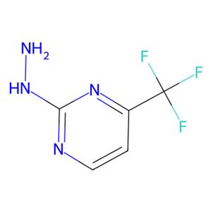 aladdin 阿拉丁 H123169 2-肼基-4-三氟甲基嘧啶 197305-97-8 98%