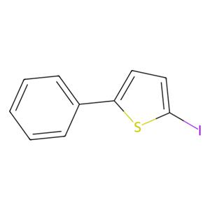 aladdin 阿拉丁 I157455 2-碘-5-苯基噻吩 13781-37-8 97%