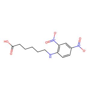 aladdin 阿拉丁 N159295 N-(2,4-二硝基苯基)-6-氨基己酸 10466-72-5 95%