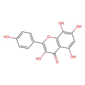 aladdin 阿拉丁 H464949 草质素 527-95-7 ≥98% (HPLC)