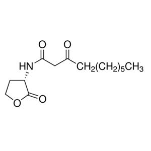 aladdin 阿拉丁 N488135 N-(3-氧代癸酰基)-L-高丝氨酸内酯 147795-40-2 98%