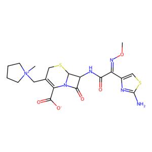 aladdin 阿拉丁 C304822 头孢吡肟 88040-23-7 98%