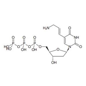 aladdin 阿拉丁 A340361 氨基烯丙基-dUTP钠盐 109921-28-0 85%