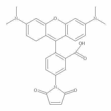 四甲基罗丹明-5-马来酰亚胺,5-TAMRA, maleimide [Tetramethylrhodamine-5-maleimide]