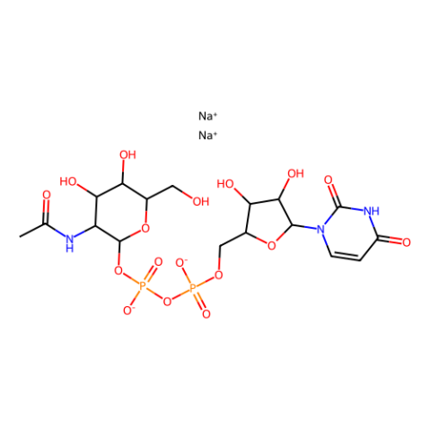 尿苷-5′-二磷酸-N-乙酰基-葡糖胺钠盐,Uridine 5’-Diphospho-N-acetylglucosamine Disodium Salt