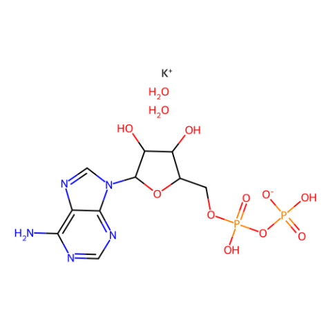 腺苷-5'-二磷酸单钾盐二水合物,Adenosine 5′-diphosphate monopotassium salt dihydrate