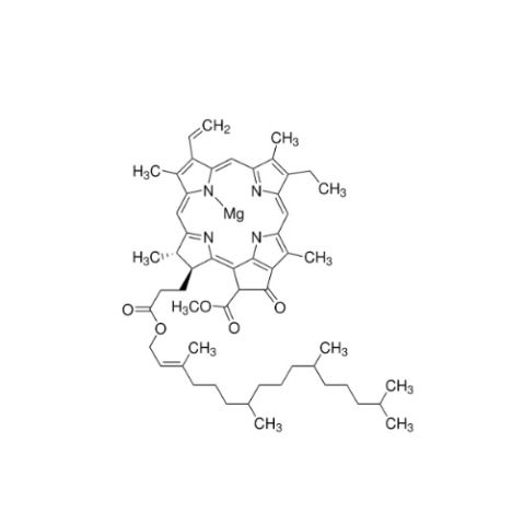 叶绿素A,Chlorophyll a