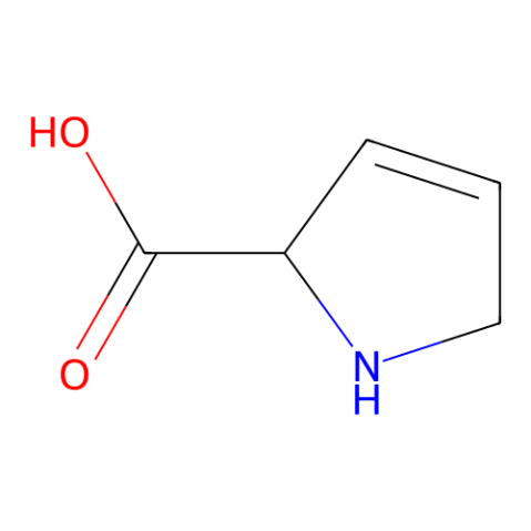 3,4-脫氫-L-脯氨酸,3，4-dehydro-L-proline