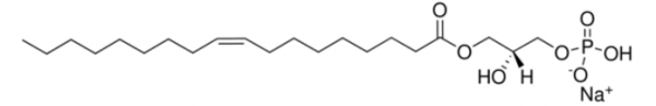 油酰基-L-α-溶血磷脂酸 钠盐,Oleoyl-L-α-lysophosphatidic acid sodium salt