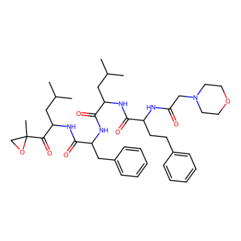 卡非佐米,Carfilzomib