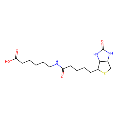 6-生物素氨基己酸,N-(+)-Biotinyl-6-aminohexanoic acid