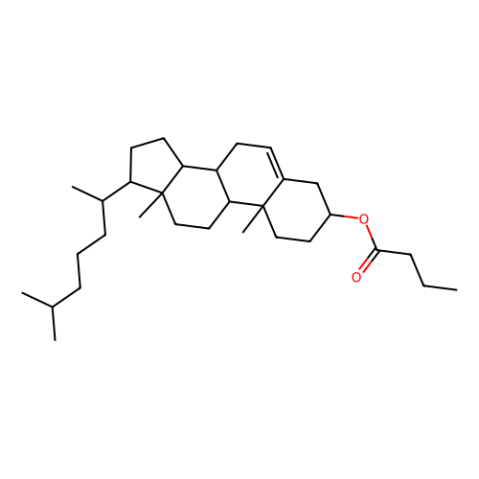 胆固醇丁酸酯,cholesteryl butyrate