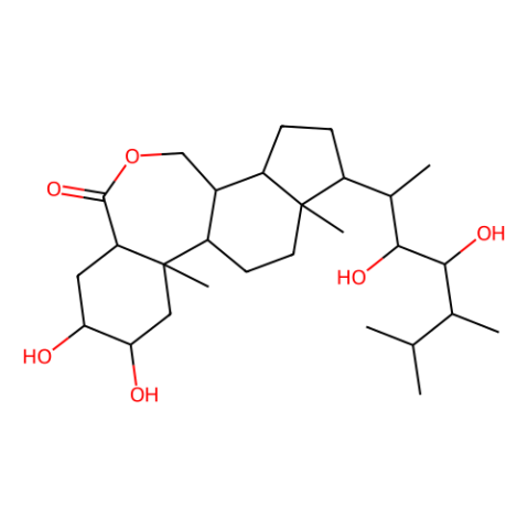 表油菜素内酯,Epibrassinolide