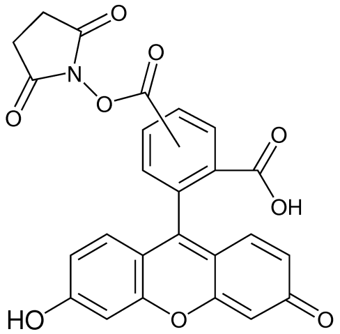 5(6)-羧基荧光素琥珀酰亚胺酯,5(6)-Carboxyfluorescein N-hydroxysuccinimide ester