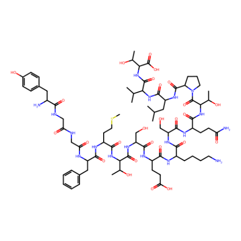 α－内啡肽,α-Endorphin human