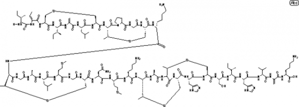 乳酸链球菌肽 来源于乳酸乳球菌,nisin from streptococcus lactis