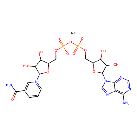 β-烟酰胺腺嘌呤二核苷酸 钠盐,β-Nicotinamide adenine dinucleotide sodium salt