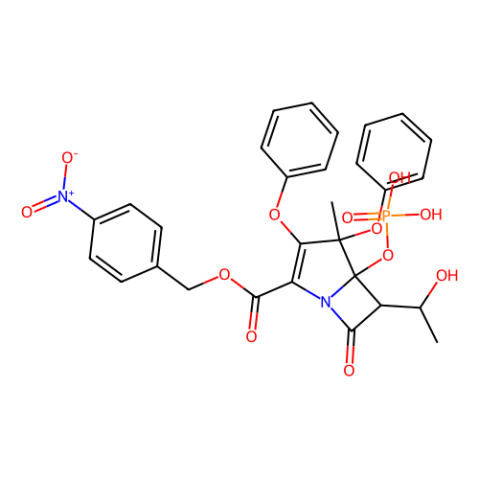 蛋白酶K 来源于林伯氏白色念球菌,Proteinase K from Tritirachium album limber