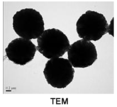 γ-三氧化二铁磁性微球,Iron oxide(II,III), magnetic nanoparticles solution