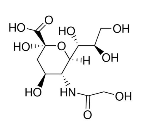 N-羟乙酰神经氨酸,N-Glycolylneuraminic Acid