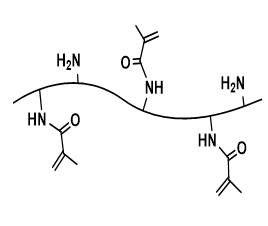 甲基丙烯酸酯化明胶,Methacrylate Gelatin (GelMA)