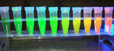 氨基酸键合荧光量子点,Fluorescent quantum dots