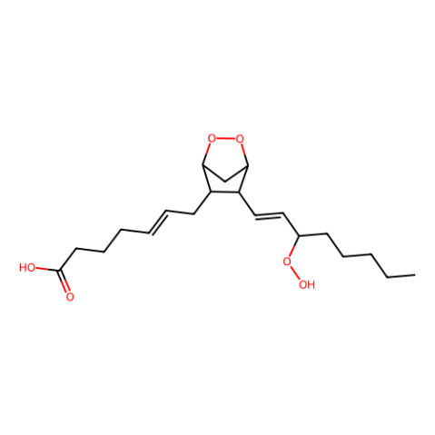 前列腺素G2,Prostaglandin G2