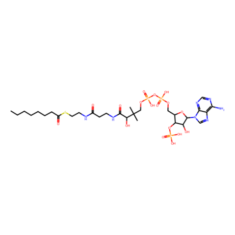 辛酰基辅酶A,Octanoyl coenzyme A