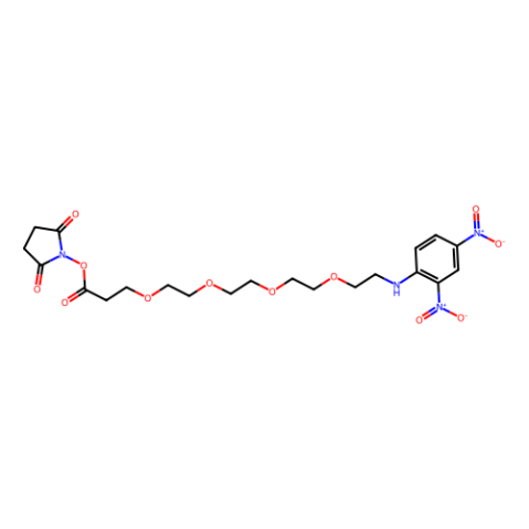 DNP-PEG4-NHS酯,DNP-PEG4-NHS ester