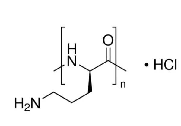 聚-L-鸟氨酸盐酸盐,Poly-L-ornithine hydrochloride
