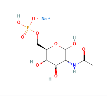 N-乙酰基-D-氨基葡萄糖-6-磷酸二钠盐,N-Acetyl-D-glucosamine 6-phosphate disodium salt