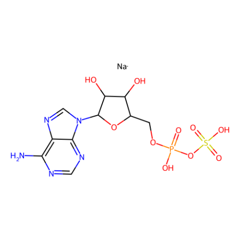 腺苷5′-磷酸硫酸鹽 鈉鹽,Adenosine 5′-phosphosulfate sodium salt