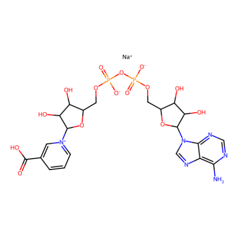 煙酸腺嘌呤二核苷酸鈉鹽,Nicotinic acid adenine dinucleotide sodium salt